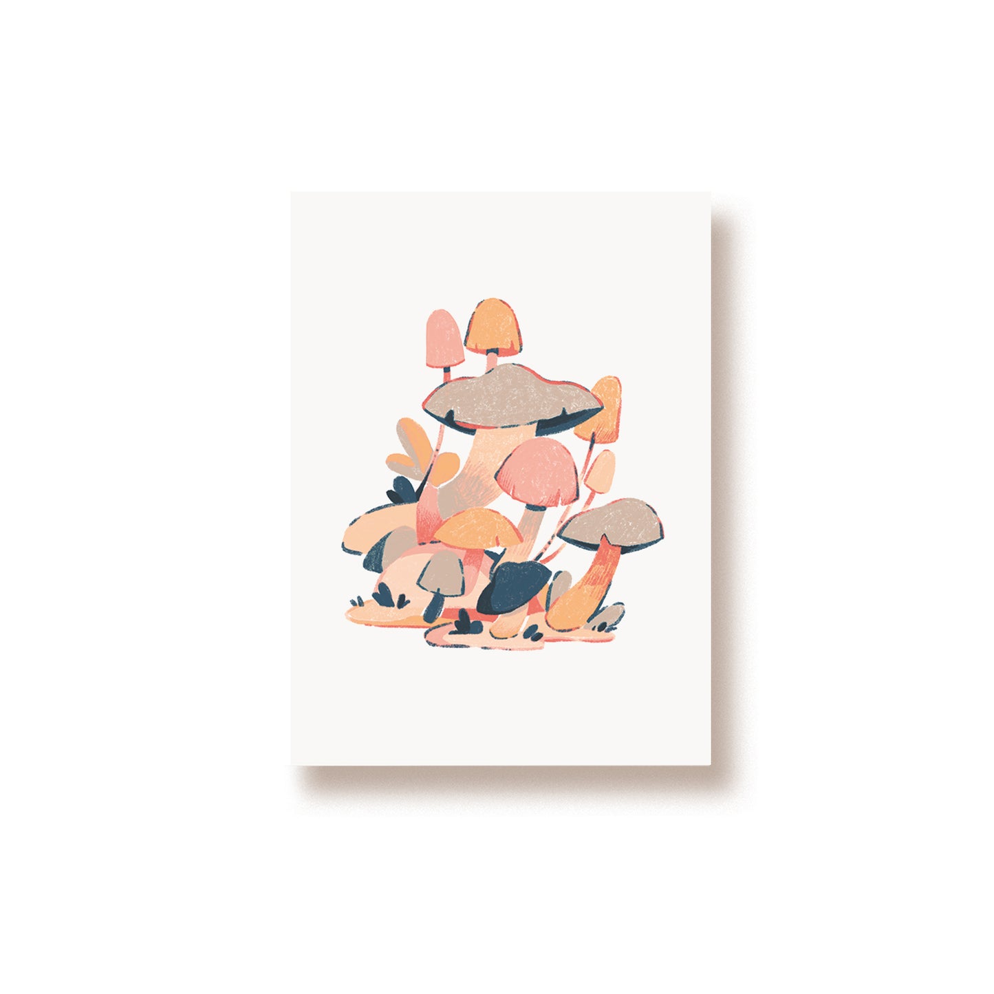 Print 'Team Mushroom'
