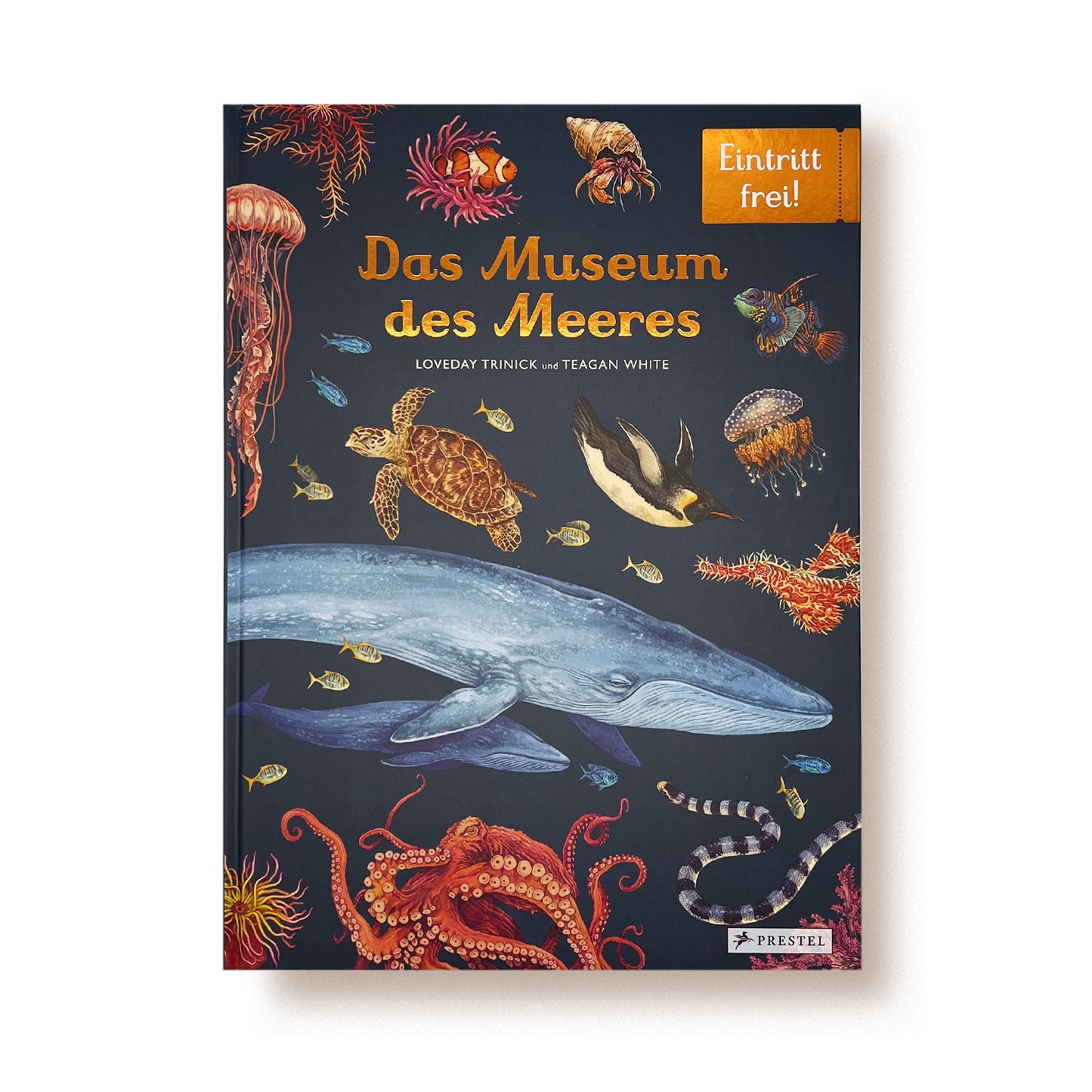 DAS MUSEUM DES MEERES